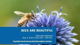 Saturday Explorers-Bees Are Beautiful