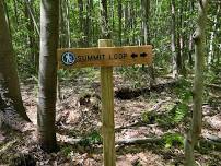 Summit Loop Anniversary Hike