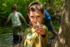 Broad Meadow Brook Camp - Flickers