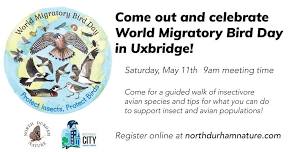 World Migratory Bird Day in Uxbridge