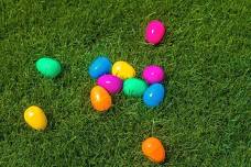 Ferndale Easter Egg Hunt