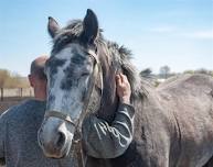 Warriors Healing with Horses