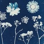 BILINGUAL COMMUNITY WORKSHOP: Natural Dyes & Cyanotype Prints