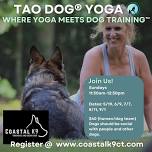 TAO DOG® Yoga Class @ Coastal K9 Training & Behavior