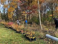 LaBagh Woods Stewardship Workday — Chicago Ornithological Society