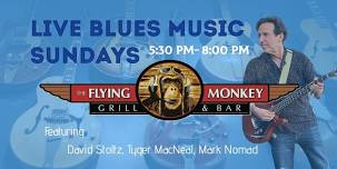 Blues Music Sundays with Stoltz & Co