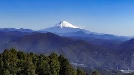 Shizuoka Tour, Tea Picking & Dining with Views of Mt. Fuji