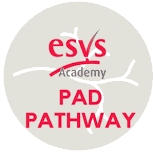 ESVS Vascular Surgery Skills – Hands-on at the Wet Lab, Trondheim, Norway