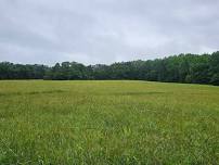 Kolb's Farm Loop Trail