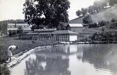 History Club - Plum City