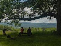 Landis Arboretum Photo Hike