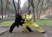 Tai Chi Push Hands class