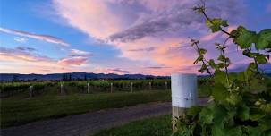 Enjoy a full-day tour visiting some of the fantastic wineries of Marlborough, New Zealand and discoverind the amazing wines of the region.