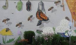 Bee City USA – Hendersonville NC – A Guided Walk to Celebrate Pollinator Week