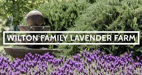 Fall Craft Fair at Wilton Family Lavender Farm