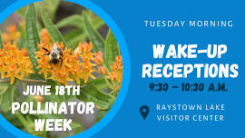 Tuesday Wake-Up Reception: Pollinator Week