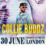 Collie Buddz