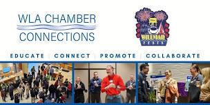 Chamber Connection - Willmar Fests