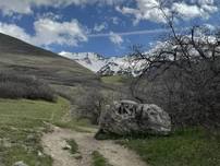 Dry Canyon Hike