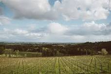 Sound Bath @ Domaine Roy & fils Winery