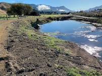 Para Wetlands:  Blue Hole planting