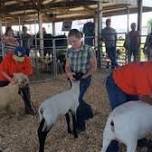 Dallas County Fair