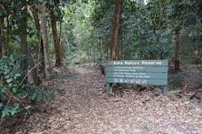 Queer Iluka Rainforest Walk