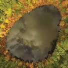 Sunday, June 9th | 11:00AM-12:30PM | Geology Field Trip: Mendon Ponds Park, A Glacial Landscape