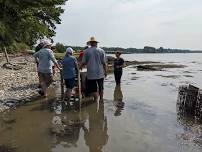 Live Free and Shuck: Oyster Farm Discussion and Demonstration