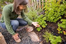 Native Pollinators in the Market Garden with Paige Payne