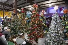 Festival of Trees