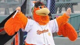 Delmarva Shorebirds YMCA Night