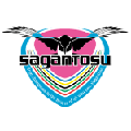 Sagan Tosu vs. Sanfrecce Hiroshima