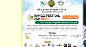 UP MANGO FESTIVAL