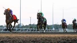 Stake Races @ Presque Isle Downs