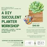 A DIY SUCCULENT PLANTER WORKSHOP