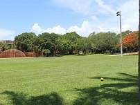 Flag football at Yaron field