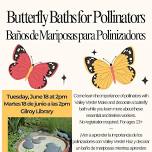 Butterfly Baths for Pollinators with Valley Verde / Baños de Mariposas