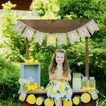 6/29 Lemonade Stand Summer Minis!