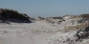 Discover the Dunes — Jones Beach Energy & Nature Center