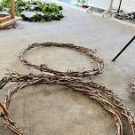 Wreath & Wine   Walk through the vines create your own Grapevine wreath