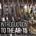 Introduction to the AR-15