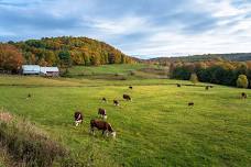 UNH Extension Agricultural Tax Seminar