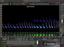 Bat Acoustic Workflow and Eastern Call ID Workshop