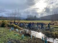 NSEA Community Work Party - Macaulay Creek in Deming