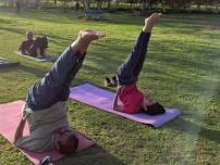 Yoga Practice and Tai Chi Meditation in Central Park