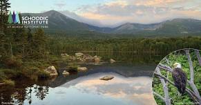 2024 Katahdin Splendor: Birds and Wildlife in the Shadow of Maine’s Highest Peak | Baxter State Park