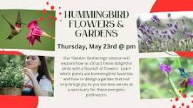 HUMMINGBIRD FLOWERS & GARDENS