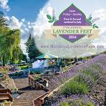 Helvetia Lavender Festival