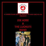 Live Music:  Joe Adee and The Lugnuts Band